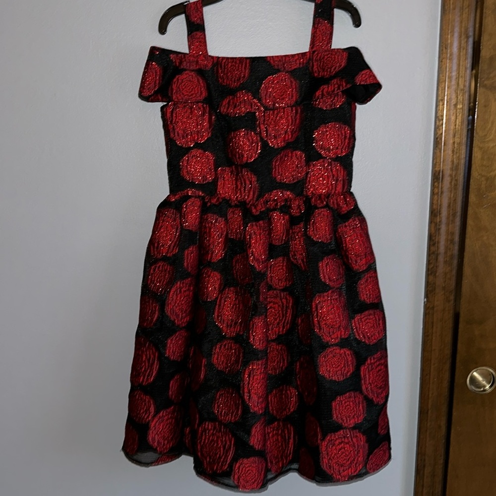 Rose patterned Belle Badgley Mischka dress. Size girls 16